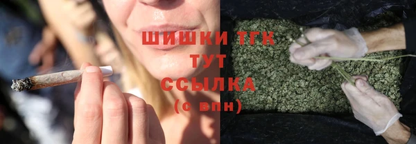 шишки Алексеевка