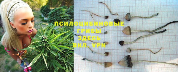 шишки Алексеевка