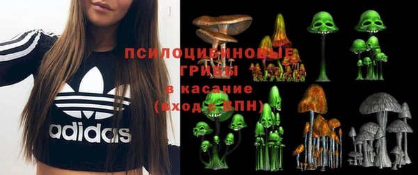 шишки Алексеевка